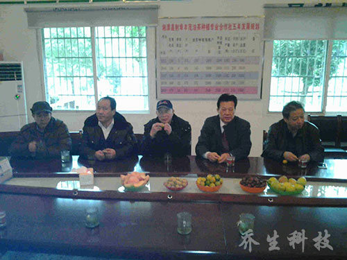 在湘潭考察油茶產業(yè)