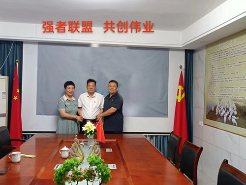 強(qiáng)者聯(lián)盟，共創(chuàng)偉業(yè)